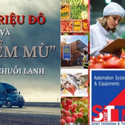 THỰC TRẠNG CHUỖI LẠNH TẠI VIỆT NAM: THỊ TRƯỜNG 295 TRIỆU USD VÀ NHỮNG LỖ HỔNG KHÔNG NGỜ TỚI